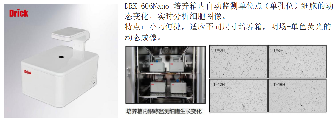 1747295450186435.png 12.png